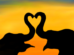 elephant_heart_by_poxantic-d65asw1